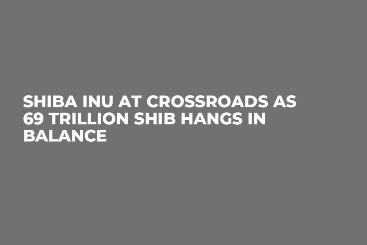 Shiba Inu at Crossroads as 69 Trillion SHIB Hangs in Balance
