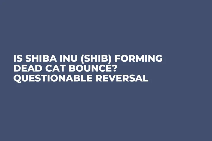 Is Shiba Inu (SHIB) Forming Dead Cat Bounce? Questionable Reversal