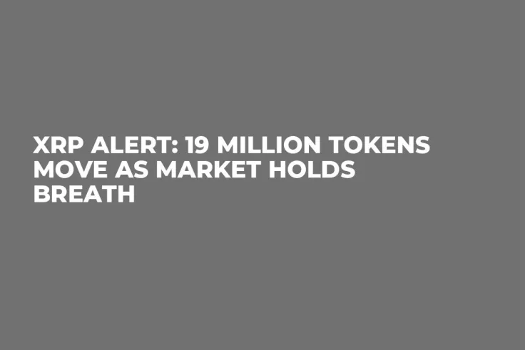 XRP Alert: 19 Million Tokens Move as Market Holds Breath