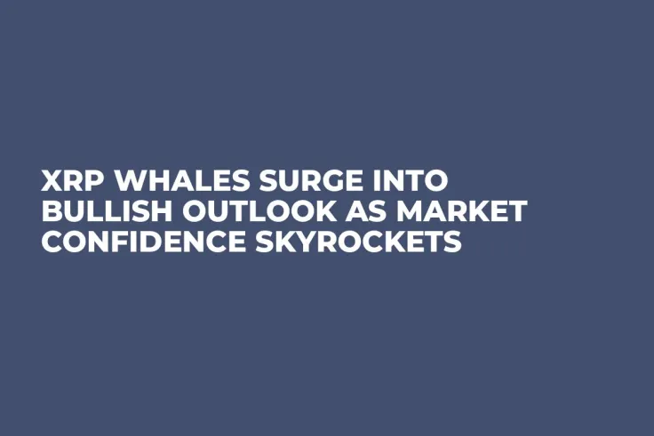 XRP Whales Surge into Bullish Outlook as Market Confidence Skyrockets
