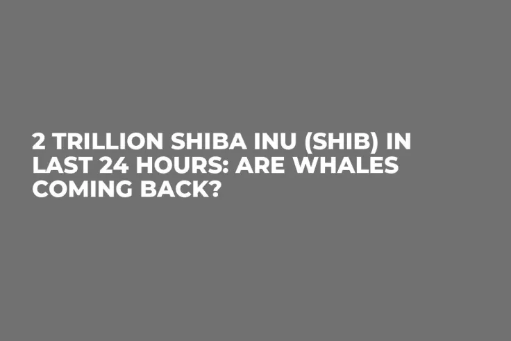 2 Trillion Shiba Inu (SHIB) in Last 24 Hours: Are Whales Coming Back?