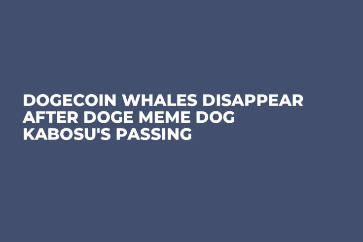 Dogecoin Whales Disappear After DOGE Meme Dog Kabosu's Passing