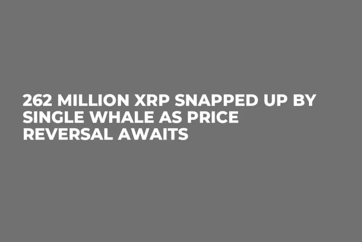 262 Million XRP Snapped up by Single Whale as Price Reversal Awaits