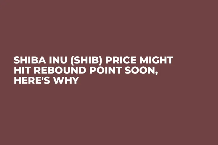 Shiba Inu (SHIB) Price Might Hit Rebound Point Soon, Here's Why