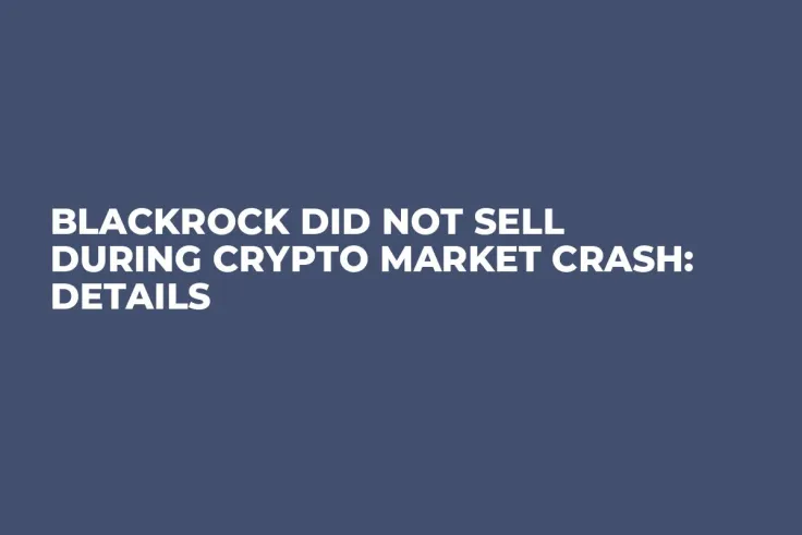 BlackRock Did Not Sell During Crypto Market Crash: Details