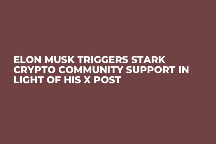 Elon Musk Triggers Stark Crypto Community Support in Light of His X Post