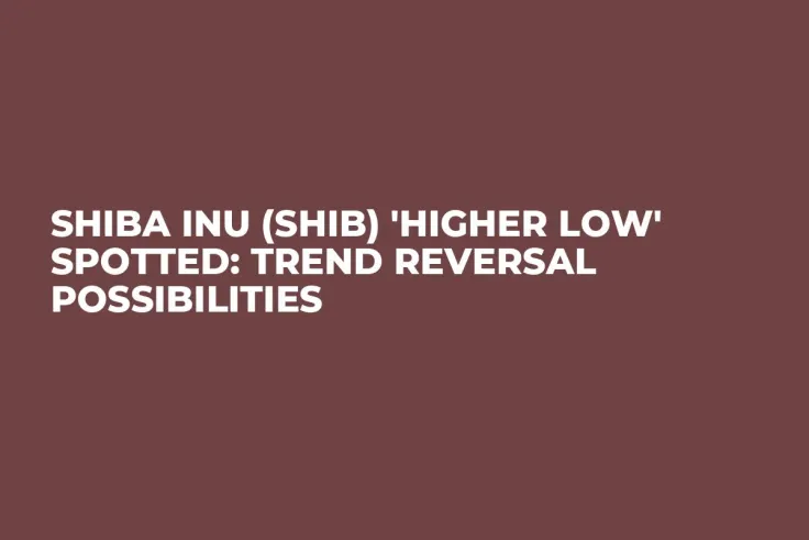 Shiba Inu (SHIB) 'Higher Low' Spotted: Trend Reversal Possibilities