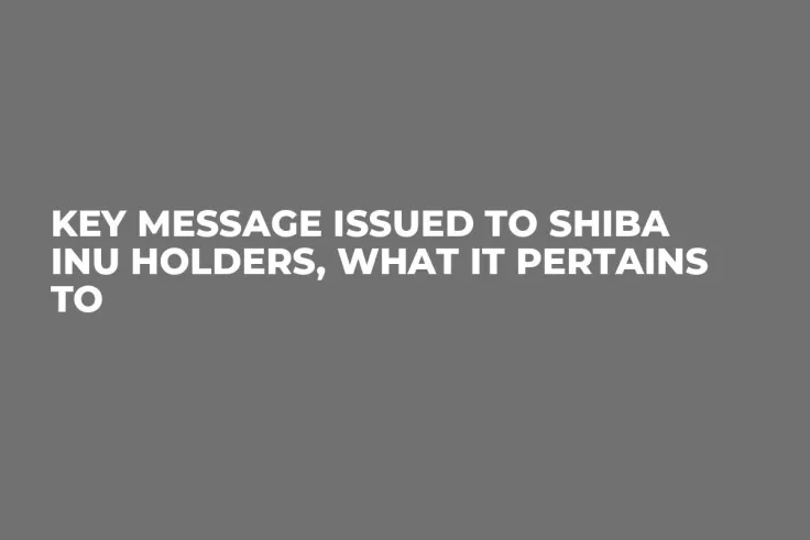 Key Message Issued to Shiba Inu Holders, What It Pertains To