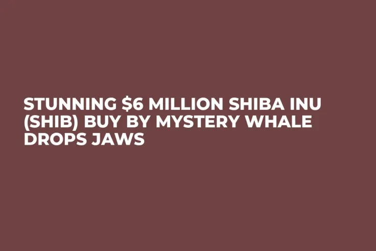 Stunning $6 Million Shiba Inu (SHIB) Buy by Mystery Whale Drops Jaws