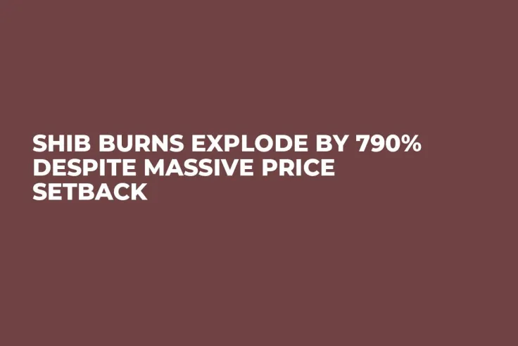 SHIB Burns Explode by 790% Despite Massive Price Setback