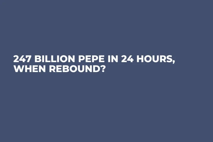 247 Billion PEPE in 24 Hours, When Rebound?