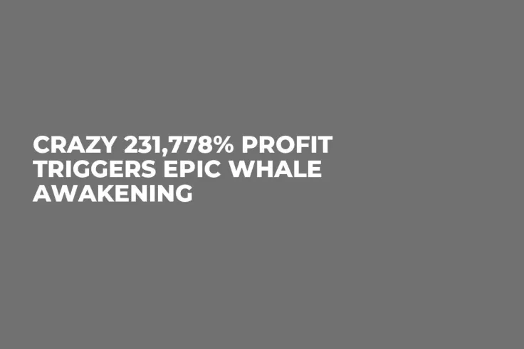 Crazy 231,778% Profit Triggers Epic Whale Awakening