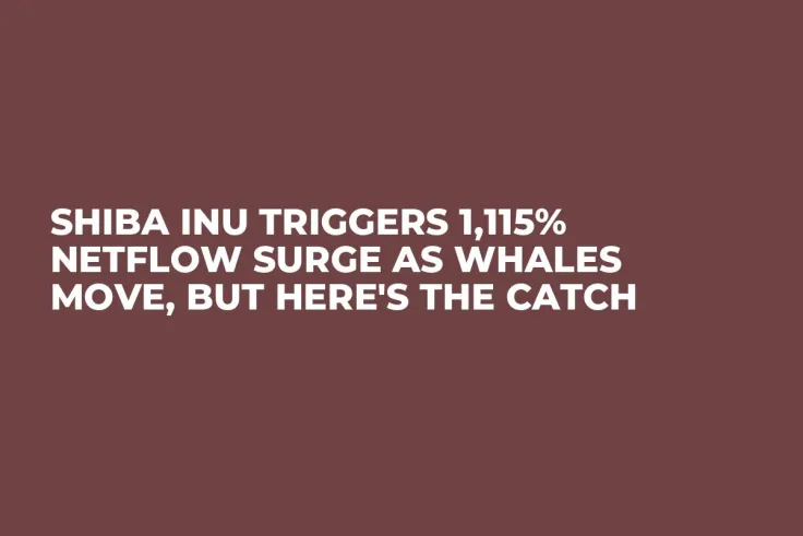Shiba Inu Triggers 1,115% Netflow Surge as Whales Move, But Here's the Catch