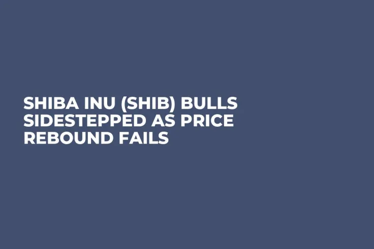Shiba Inu (SHIB) Bulls Sidestepped as Price Rebound Fails