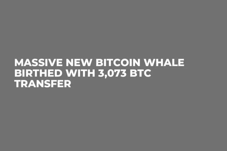 Massive New Bitcoin Whale Birthed With 3,073 BTC Transfer