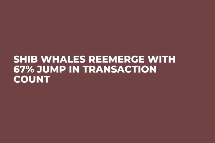 SHIB Whales Reemerge With 67% Jump in Transaction Count