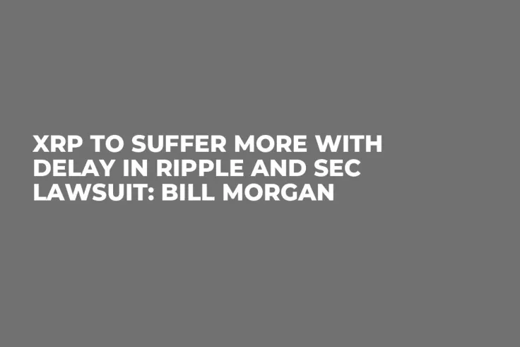 XRP to Suffer More With Delay in Ripple and SEC Lawsuit: Bill Morgan