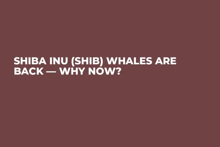 Shiba Inu (SHIB) Whales Are Back — Why Now?