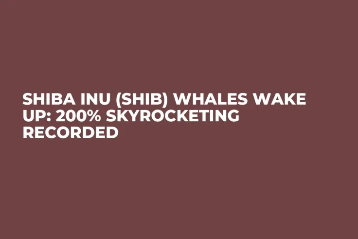 Shiba Inu (SHIB) Whales Wake Up: 200% Skyrocketing Recorded