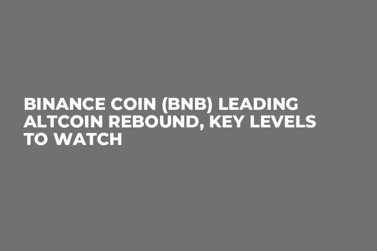 Binance Coin (BNB) Leading Altcoin Rebound, Key Levels to Watch