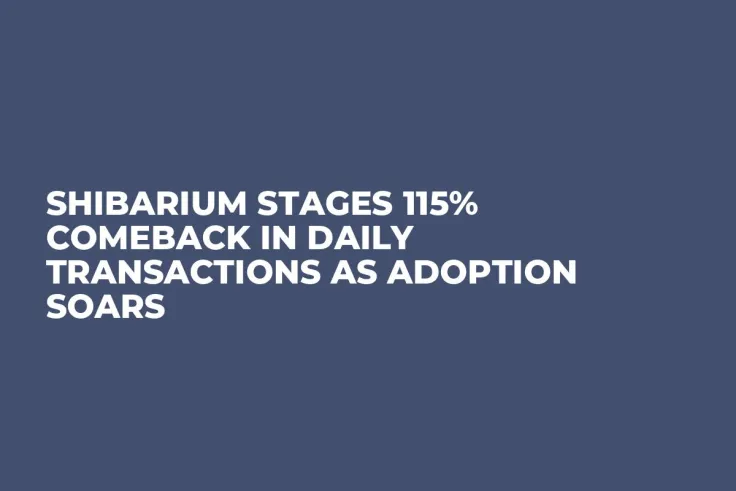 Shibarium Stages 115% Comeback in Daily Transactions as Adoption Soars