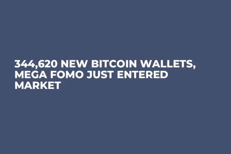 344,620 New Bitcoin Wallets, Mega FOMO Just Entered Market