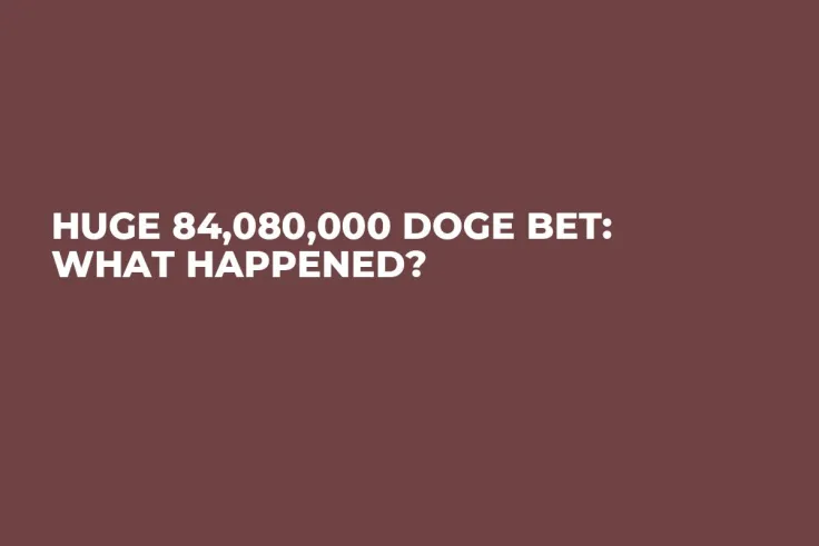 Huge 84,080,000 DOGE Bet: What Happened?