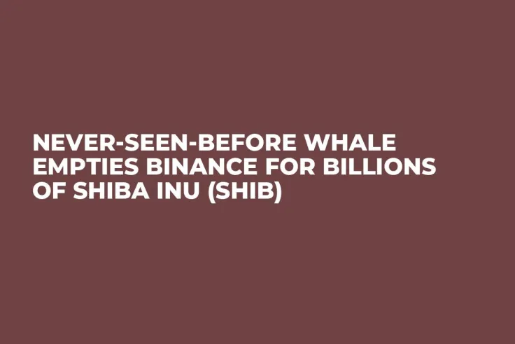 Never-Seen-Before Whale Empties Binance for Billions of Shiba Inu (SHIB)