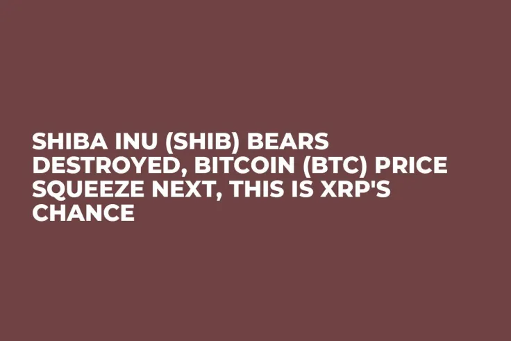 Shiba Inu (SHIB) Bears Destroyed, Bitcoin (BTC) Price Squeeze Next, This Is XRP's Chance