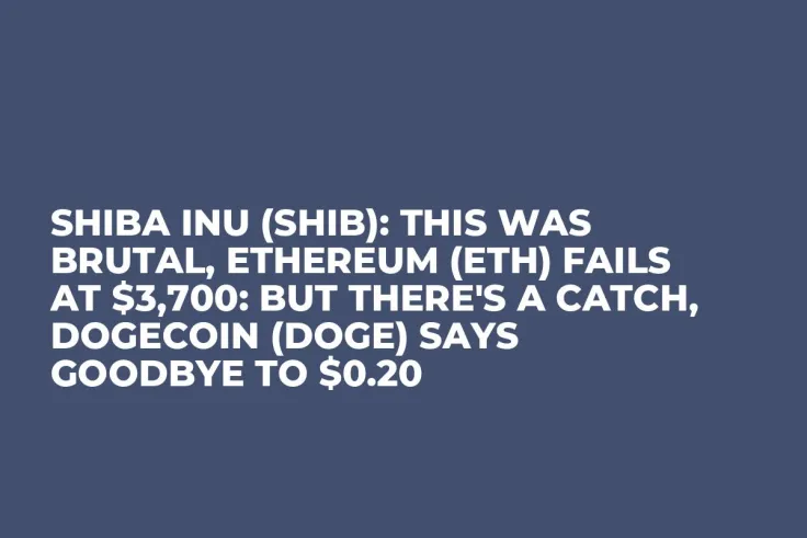 Shiba Inu (SHIB): This Was Brutal, Ethereum (ETH) Fails at $3,700: But There's a Catch, Dogecoin (DOGE) Says Goodbye to $0.20
