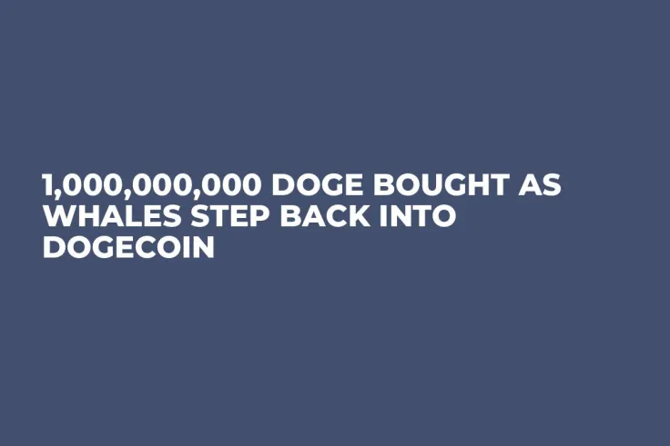 1,000,000,000 DOGE Bought as Whales Step Back into Dogecoin