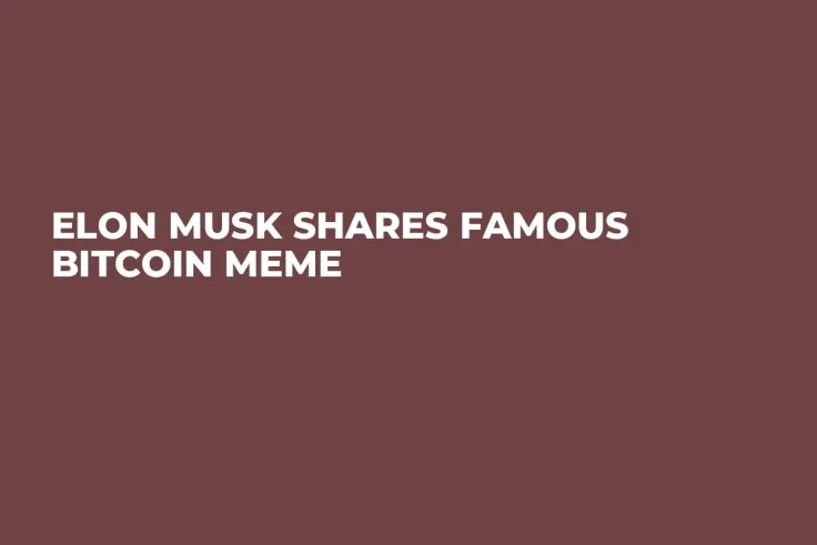 Elon Musk Shares Famous Bitcoin Meme