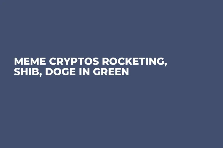 Meme Cryptos Rocketing, SHIB, DOGE in Green