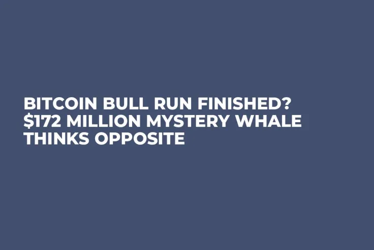 Bitcoin Bull Run Finished? $172 Million Mystery Whale Thinks Opposite