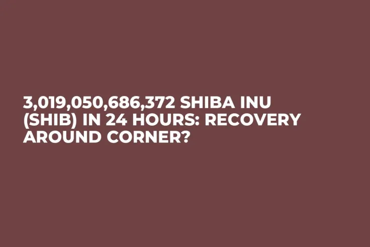 3,019,050,686,372 Shiba Inu (SHIB) in 24 Hours: Recovery Around Corner?