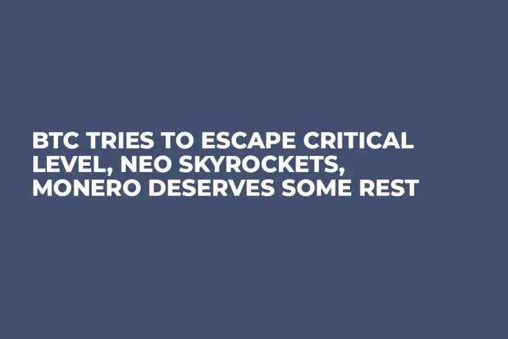 BTC Tries to Escape Critical Level, NEO Skyrockets, Monero Deserves Some Rest