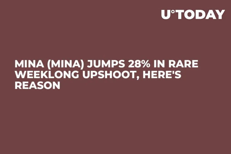 Mina (MINA) Jumps 28% in Rare Weeklong Upshoot, Here's Reason