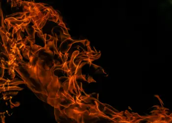 Shiba Inu dispara su tasa de quema un 1.000%, ¡quemando millones!