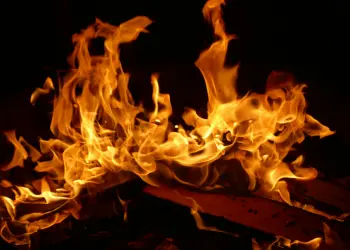 Shiba Inu arde: la tasa de quema se dispara un 7.418%