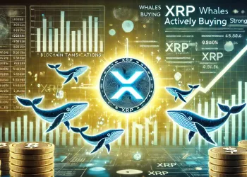 XRP: Acumulación de ballenas y niveles técnicos clave para tener en cuenta