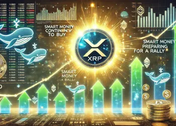 XRP sigue indicando fortaleza: acumulación de ballenas y optimismo de los inversores
