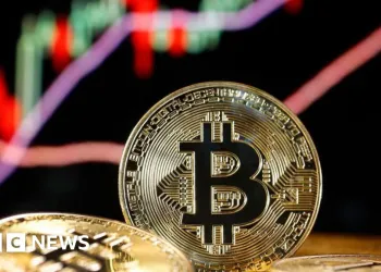 ¡El futuro de Bitcoin revelado! Análisis de los tenedores a corto plazo