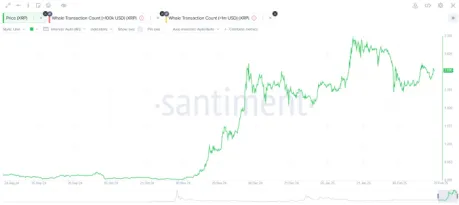 Movimientos de las ballenas y aumento de precio de XRP