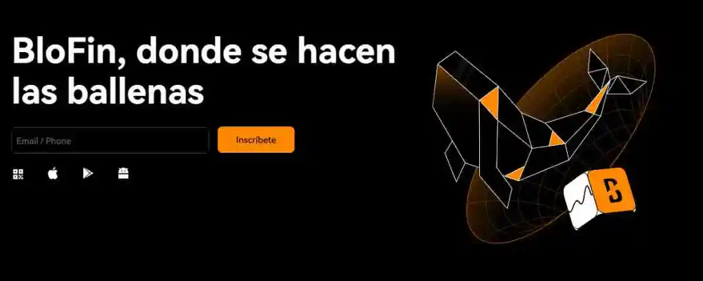 Mejores exchanges sin KYC para invertir hoy - BloFin