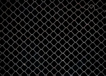 Chainlink (LINK) en Ascenso: ¿Las Ballenas Impulsarán el Precio a $23?