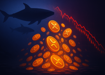 Ballenas XRP Sacuden el Mercado: ¿Es el Momento de Comprar o Vender?