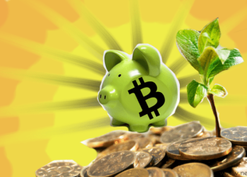 Should YOU Invest in Bitcoin?