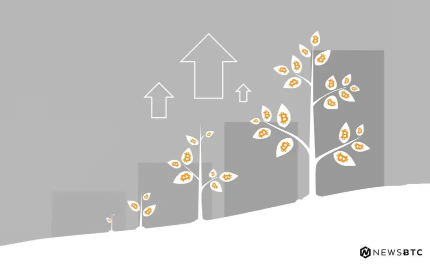 Bitcoin Cash Price Technical Analysis BCH USD