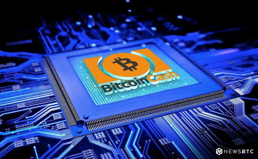 Bitcoin Cash Price Technical Analysis BCH USD