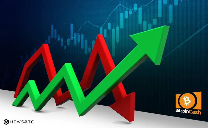 Bitcoin Cash Price Technical Analysis BCH USD
